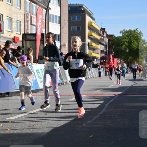 20.09.2026 - PSD Bank Halbmarathon J. Mangold http://msf.ph/oto/10505077 20.09.2026 10:34:46 Ziel 119, 161, 334, 378, 383, 401, 403, 428, 452 meine-sportfotos.de