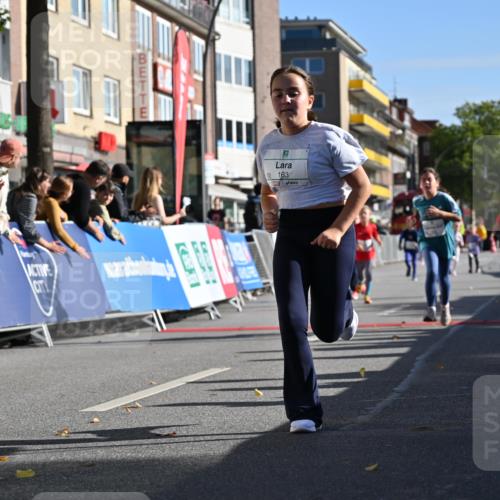 20.09.2026 - PSD Bank Halbmarathon J. Mangold http://msf.ph/oto/10505100 20.09.2026 10:34:57 Ziel 163, 203, 287, 303, 311, 334, 460 meine-sportfotos.de