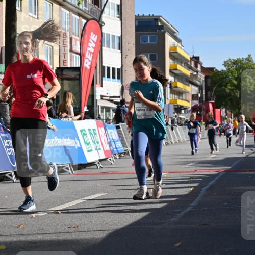20.09.2026 - PSD Bank Halbmarathon J. Mangold http://msf.ph/oto/10505109 20.09.2026 10:35:00 Ziel 163, 169, 203, 287, 303, 311, 423, 440, 460 meine-sportfotos.de