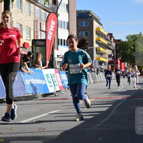 20.09.2026 - PSD Bank Halbmarathon J. Mangold http://msf.ph/oto/10505111 20.09.2026 10:35:00 Ziel 163, 169, 203, 287, 303, 311, 423, 440, 460 meine-sportfotos.de