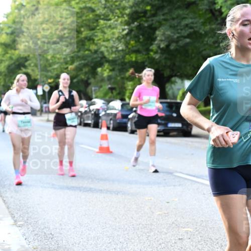 20.09.2026 - PSD Bank Halbmarathon Dr. Thomas Lammeyer http://msf.ph/oto/10505113 20.09.2026 11:01:42 Laufen  meine-sportfotos.de