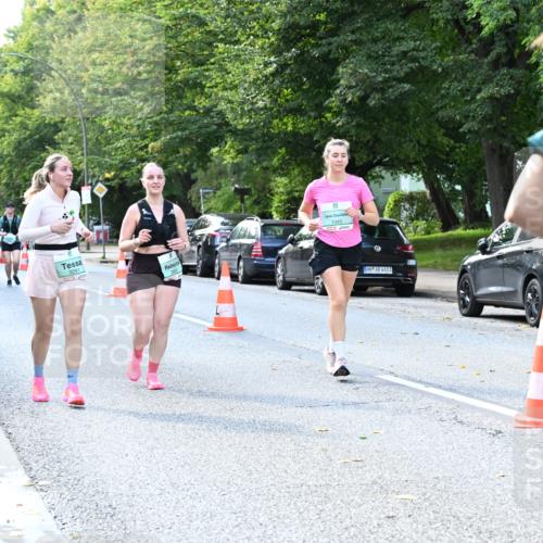 20.09.2026 - PSD Bank Halbmarathon Dr. Thomas Lammeyer http://msf.ph/oto/10505114 20.09.2026 11:01:42 Laufen 3291, 1345, 4683 meine-sportfotos.de