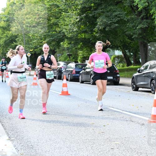 20.09.2026 - PSD Bank Halbmarathon Dr. Thomas Lammeyer http://msf.ph/oto/10505116 20.09.2026 11:01:43 Laufen 1345, 3291, 2654, 4683 meine-sportfotos.de
