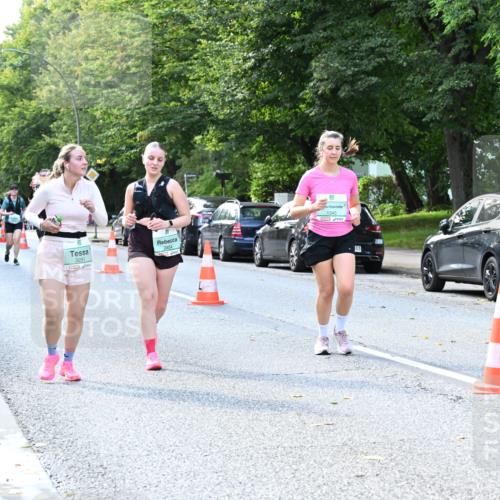 20.09.2026 - PSD Bank Halbmarathon Dr. Thomas Lammeyer http://msf.ph/oto/10505120 20.09.2026 11:01:43 Laufen 3291, 2554, 1345 meine-sportfotos.de