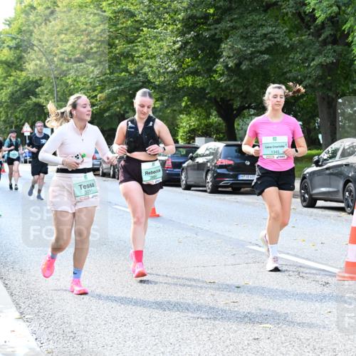 20.09.2026 - PSD Bank Halbmarathon Dr. Thomas Lammeyer http://msf.ph/oto/10505130 20.09.2026 11:01:43 Laufen 3291, 468, 1345 meine-sportfotos.de