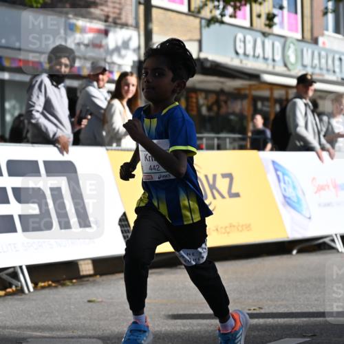 20.09.2026 - PSD Bank Halbmarathon J. Mangold http://msf.ph/oto/10505217 20.09.2026 10:36:04 Ziel 442 meine-sportfotos.de