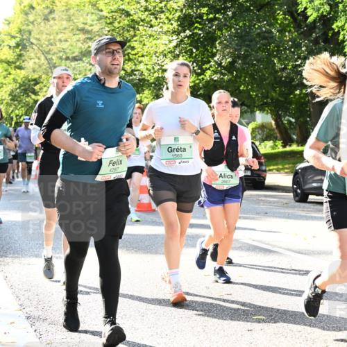 20.09.2026 - PSD Bank Halbmarathon Dr. Thomas Lammeyer http://msf.ph/oto/10505268 20.09.2026 11:01:53 Laufen 4287, 1560, 2607, 3534 meine-sportfotos.de