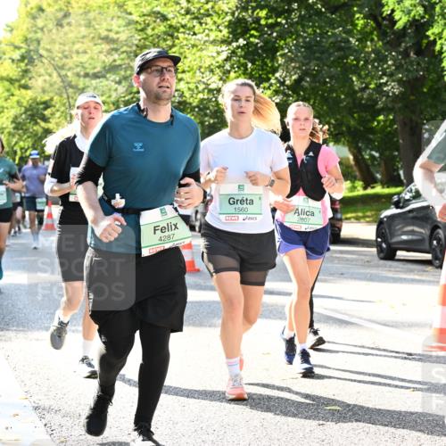 20.09.2026 - PSD Bank Halbmarathon Dr. Thomas Lammeyer http://msf.ph/oto/10505271 20.09.2026 11:01:53 Laufen 4287, 1560, 2607, 3534 meine-sportfotos.de