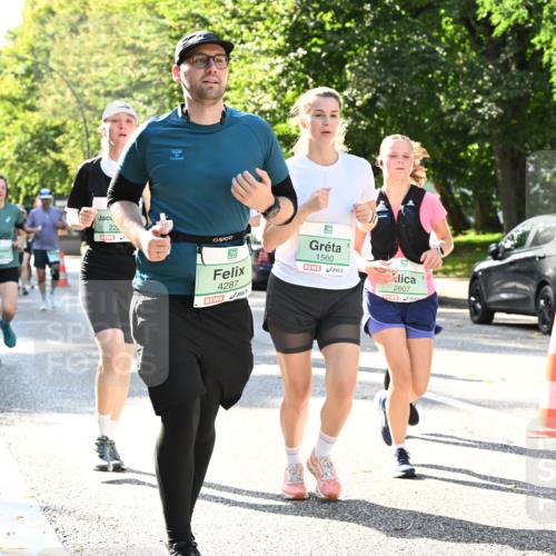 20.09.2026 - PSD Bank Halbmarathon Dr. Thomas Lammeyer http://msf.ph/oto/10505273 20.09.2026 11:01:53 Laufen 4287, 1560, 2607, 3534 meine-sportfotos.de