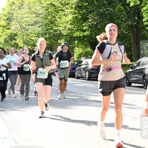 20.09.2026 - PSD Bank Halbmarathon Dr. Thomas Lammeyer http://msf.ph/oto/10505402 20.09.2026 11:02:01 Laufen 1913 meine-sportfotos.de