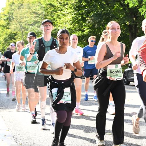 20.09.2026 - PSD Bank Halbmarathon Dr. Thomas Lammeyer http://msf.ph/oto/10505460 20.09.2026 11:02:05 Laufen 201, 3837, 4399, 486, 1837, 2263 meine-sportfotos.de