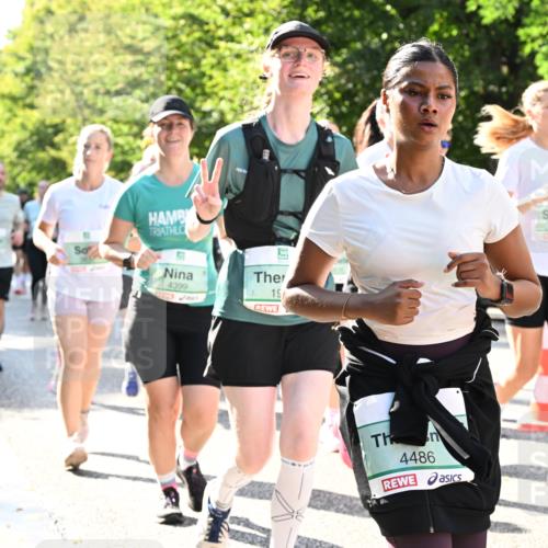 20.09.2026 - PSD Bank Halbmarathon Dr. Thomas Lammeyer http://msf.ph/oto/10505475 20.09.2026 11:02:06 Laufen 4399, 19, 4486, 3839 meine-sportfotos.de