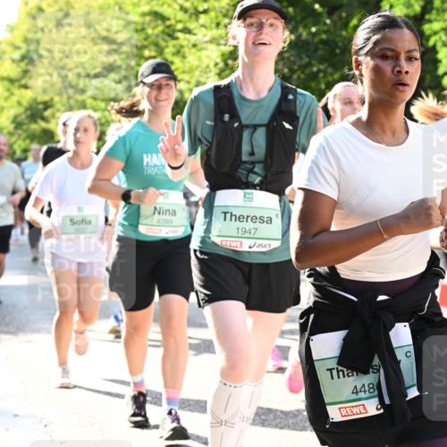 20.09.2026 - PSD Bank Halbmarathon Dr. Thomas Lammeyer http://msf.ph/oto/10505477 20.09.2026 11:02:06 Laufen 4399, 1947, 448, 3839 meine-sportfotos.de