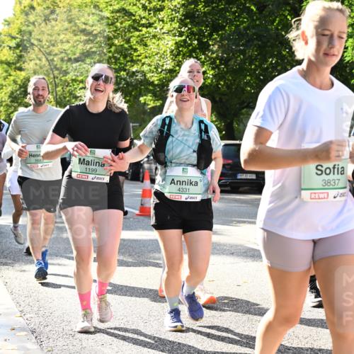 20.09.2026 - PSD Bank Halbmarathon Dr. Thomas Lammeyer http://msf.ph/oto/10505503 20.09.2026 11:02:08 Laufen 1683, 1199, 4331, 3837 meine-sportfotos.de