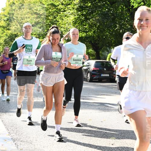 20.09.2026 - PSD Bank Halbmarathon Dr. Thomas Lammeyer http://msf.ph/oto/10505557 20.09.2026 11:02:11 Laufen 2023, 3061, 4683 meine-sportfotos.de