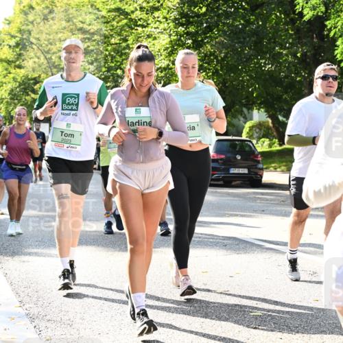 20.09.2026 - PSD Bank Halbmarathon Dr. Thomas Lammeyer http://msf.ph/oto/10505559 20.09.2026 11:02:11 Laufen 2023 meine-sportfotos.de