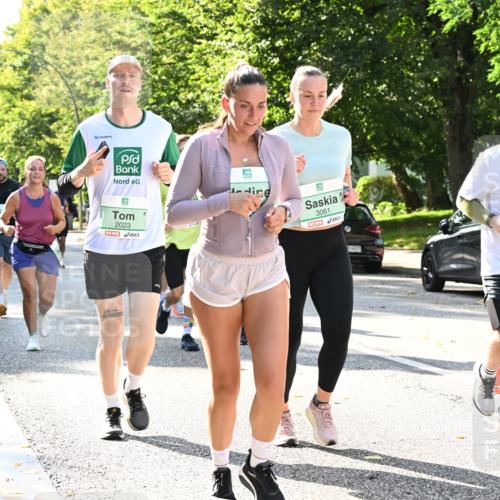 20.09.2026 - PSD Bank Halbmarathon Dr. Thomas Lammeyer http://msf.ph/oto/10505564 20.09.2026 11:02:12 Laufen 2023, 3061, 84683, 2392 meine-sportfotos.de