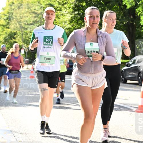 20.09.2026 - PSD Bank Halbmarathon Dr. Thomas Lammeyer http://msf.ph/oto/10505571 20.09.2026 11:02:12 Laufen 2023, 282 meine-sportfotos.de