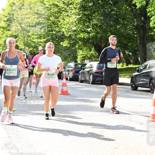 20.09.2026 - PSD Bank Halbmarathon Dr. Thomas Lammeyer http://msf.ph/oto/10505680 20.09.2026 11:02:20 Laufen 3127, 2326, 3623 meine-sportfotos.de