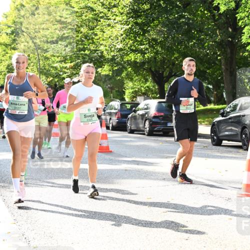 20.09.2026 - PSD Bank Halbmarathon Dr. Thomas Lammeyer http://msf.ph/oto/10505682 20.09.2026 11:02:20 Laufen 3127, 2326, 3623 meine-sportfotos.de