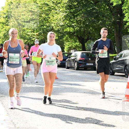 20.09.2026 - PSD Bank Halbmarathon Dr. Thomas Lammeyer http://msf.ph/oto/10505687 20.09.2026 11:02:20 Laufen 3127, 2326, 4683, 3623 meine-sportfotos.de