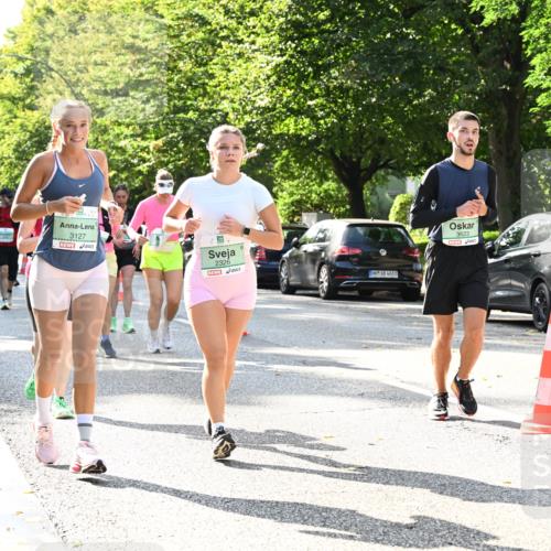 20.09.2026 - PSD Bank Halbmarathon Dr. Thomas Lammeyer http://msf.ph/oto/10505688 20.09.2026 11:02:20 Laufen 3127, 2326, 4683, 3623 meine-sportfotos.de