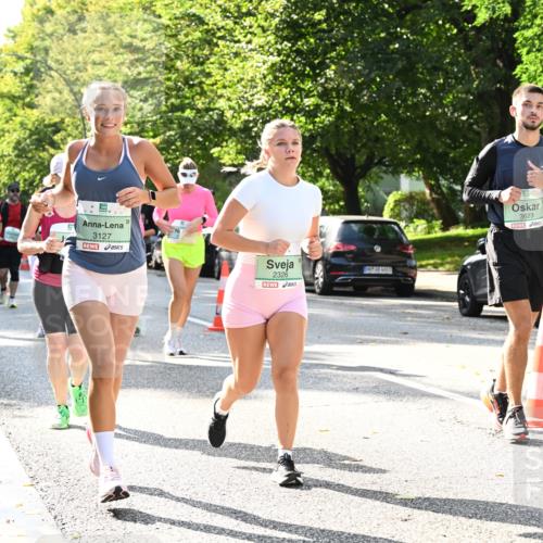 20.09.2026 - PSD Bank Halbmarathon Dr. Thomas Lammeyer http://msf.ph/oto/10505694 20.09.2026 11:02:21 Laufen 3127, 2326, 3623 meine-sportfotos.de