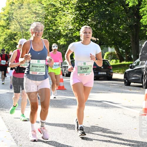 20.09.2026 - PSD Bank Halbmarathon Dr. Thomas Lammeyer http://msf.ph/oto/10505698 20.09.2026 11:02:21 Laufen 2319, 3127, 2326, 3623 meine-sportfotos.de