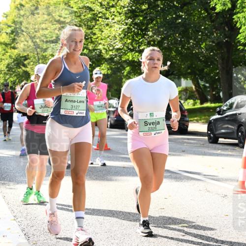 20.09.2026 - PSD Bank Halbmarathon Dr. Thomas Lammeyer http://msf.ph/oto/10505700 20.09.2026 11:02:21 Laufen 3127, 2319, 2326, 3623 meine-sportfotos.de