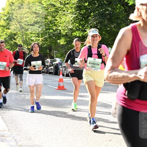 20.09.2026 - PSD Bank Halbmarathon Dr. Thomas Lammeyer http://msf.ph/oto/10505731 20.09.2026 11:02:23 Laufen 201, 3040, 3242, 19 meine-sportfotos.de