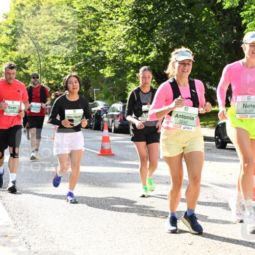 20.09.2026 - PSD Bank Halbmarathon Dr. Thomas Lammeyer http://msf.ph/oto/10505736 20.09.2026 11:02:24 Laufen 9, 3040, 201, 3242, 2507 meine-sportfotos.de