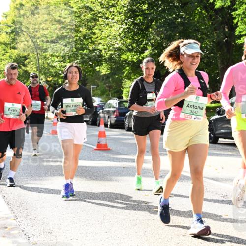 20.09.2026 - PSD Bank Halbmarathon Dr. Thomas Lammeyer http://msf.ph/oto/10505738 20.09.2026 11:02:24 Laufen 3040, 3201, 3242, 2507 meine-sportfotos.de