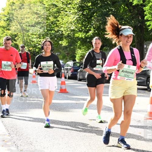 20.09.2026 - PSD Bank Halbmarathon Dr. Thomas Lammeyer http://msf.ph/oto/10505741 20.09.2026 11:02:24 Laufen 3040, 3201, 4081, 250, 3242, 2507 meine-sportfotos.de