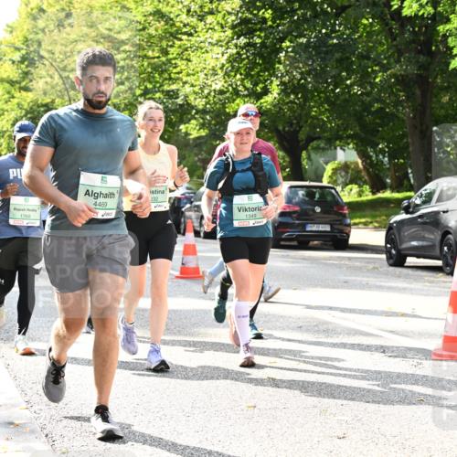 20.09.2026 - PSD Bank Halbmarathon Dr. Thomas Lammeyer http://msf.ph/oto/10506005 20.09.2026 11:02:41 Laufen 9, 1768, 4469, 032, 1349 meine-sportfotos.de