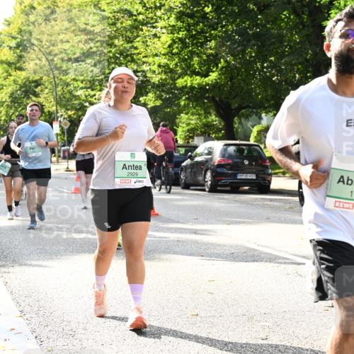 20.09.2026 - PSD Bank Halbmarathon Dr. Thomas Lammeyer http://msf.ph/oto/10506105 20.09.2026 11:02:48 Laufen 2929, 7, 1434 meine-sportfotos.de