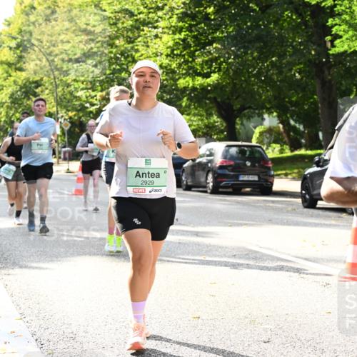20.09.2026 - PSD Bank Halbmarathon Dr. Thomas Lammeyer http://msf.ph/oto/10506110 20.09.2026 11:02:48 Laufen 2929, 143 meine-sportfotos.de
