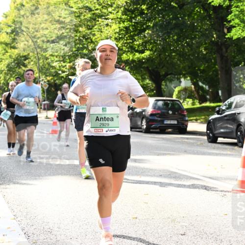 20.09.2026 - PSD Bank Halbmarathon Dr. Thomas Lammeyer http://msf.ph/oto/10506114 20.09.2026 11:02:48 Laufen 2681, 2929, 1194 meine-sportfotos.de