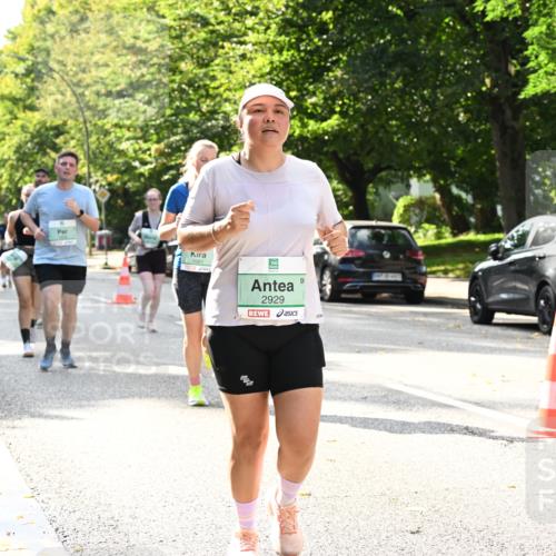 20.09.2026 - PSD Bank Halbmarathon Dr. Thomas Lammeyer http://msf.ph/oto/10506116 20.09.2026 11:02:48 Laufen 2929 meine-sportfotos.de