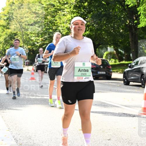 20.09.2026 - PSD Bank Halbmarathon Dr. Thomas Lammeyer http://msf.ph/oto/10506118 20.09.2026 11:02:49 Laufen 2681, 2929 meine-sportfotos.de