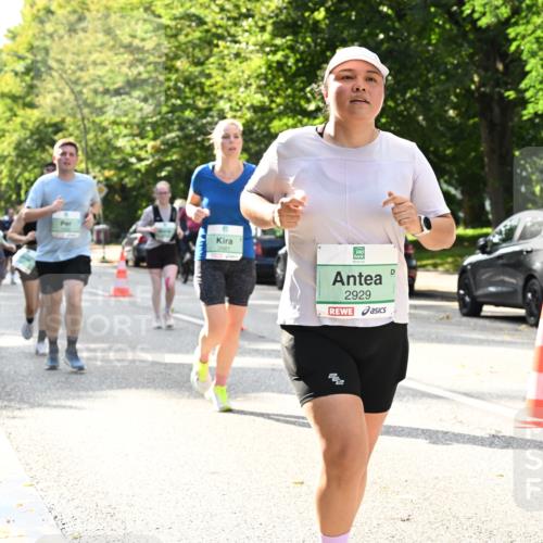20.09.2026 - PSD Bank Halbmarathon Dr. Thomas Lammeyer http://msf.ph/oto/10506124 20.09.2026 11:02:49 Laufen 2681, 2929 meine-sportfotos.de