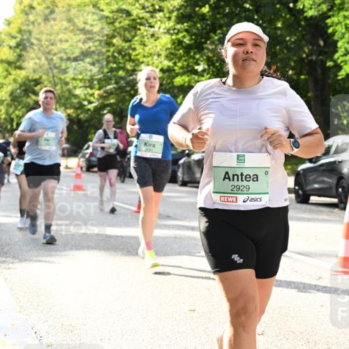 20.09.2026 - PSD Bank Halbmarathon Dr. Thomas Lammeyer http://msf.ph/oto/10506126 20.09.2026 11:02:49 Laufen 2929 meine-sportfotos.de