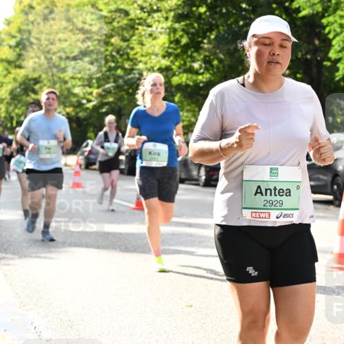 20.09.2026 - PSD Bank Halbmarathon Dr. Thomas Lammeyer http://msf.ph/oto/10506128 20.09.2026 11:02:49 Laufen 2929 meine-sportfotos.de