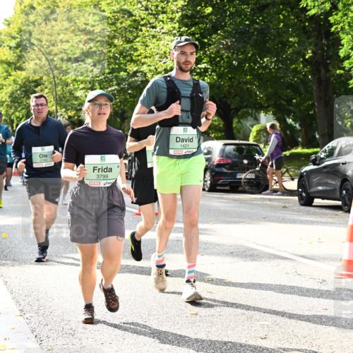20.09.2026 - PSD Bank Halbmarathon Dr. Thomas Lammeyer http://msf.ph/oto/10506195 20.09.2026 11:02:54 Laufen 3799, 1421 meine-sportfotos.de