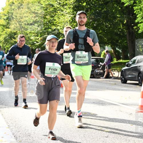 20.09.2026 - PSD Bank Halbmarathon Dr. Thomas Lammeyer http://msf.ph/oto/10506200 20.09.2026 11:02:54 Laufen 2786, 5, 3799, 129, 1421 meine-sportfotos.de