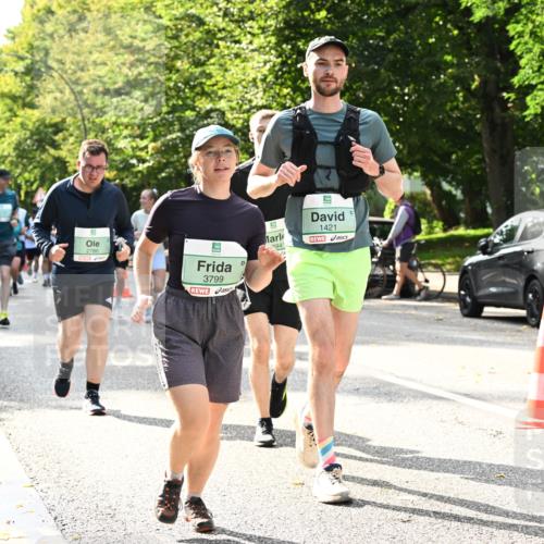 20.09.2026 - PSD Bank Halbmarathon Dr. Thomas Lammeyer http://msf.ph/oto/10506203 20.09.2026 11:02:54 Laufen 2786, 3799, 294, 1421 meine-sportfotos.de