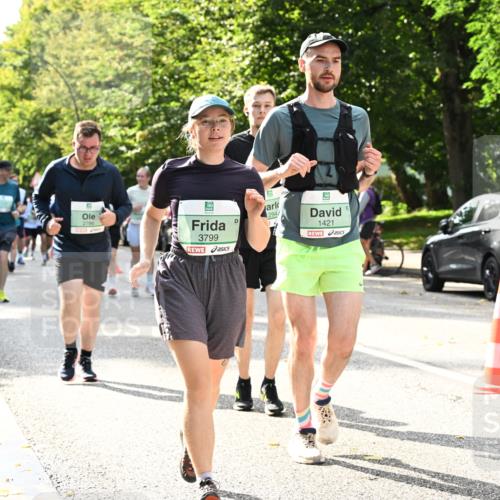 20.09.2026 - PSD Bank Halbmarathon Dr. Thomas Lammeyer http://msf.ph/oto/10506205 20.09.2026 11:02:54 Laufen 2786, 3799, 294, 1421 meine-sportfotos.de