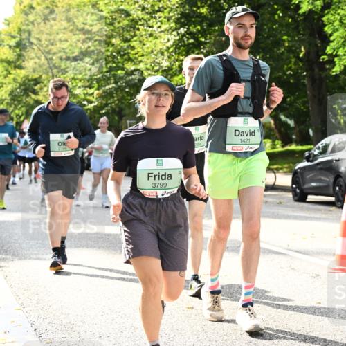 20.09.2026 - PSD Bank Halbmarathon Dr. Thomas Lammeyer http://msf.ph/oto/10506207 20.09.2026 11:02:55 Laufen 2786, 3799, 1421 meine-sportfotos.de