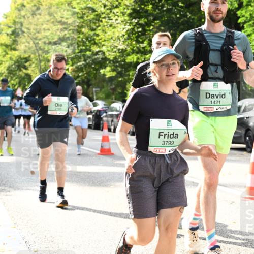20.09.2026 - PSD Bank Halbmarathon Dr. Thomas Lammeyer http://msf.ph/oto/10506213 20.09.2026 11:02:55 Laufen 2786, 3799, 1421 meine-sportfotos.de