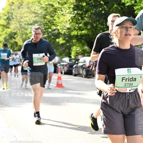 20.09.2026 - PSD Bank Halbmarathon Dr. Thomas Lammeyer http://msf.ph/oto/10506218 20.09.2026 11:02:55 Laufen 2706, 3799, 1421 meine-sportfotos.de