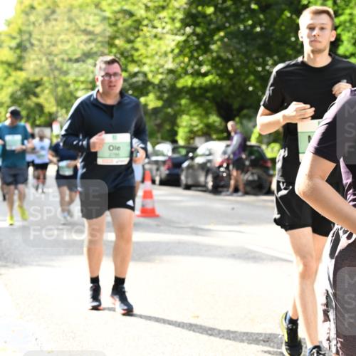 20.09.2026 - PSD Bank Halbmarathon Dr. Thomas Lammeyer http://msf.ph/oto/10506225 20.09.2026 11:02:56 Laufen 3799 meine-sportfotos.de